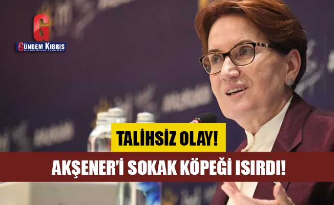 Meral Akşener i sokak köpeği ısırdı Gündem Kıbrıs Gazetesi Kıbrıs Haber