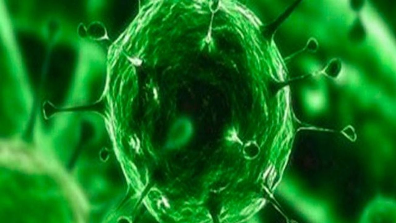 Virüslerde keşfedilen özellik tedavi için umut olabilir