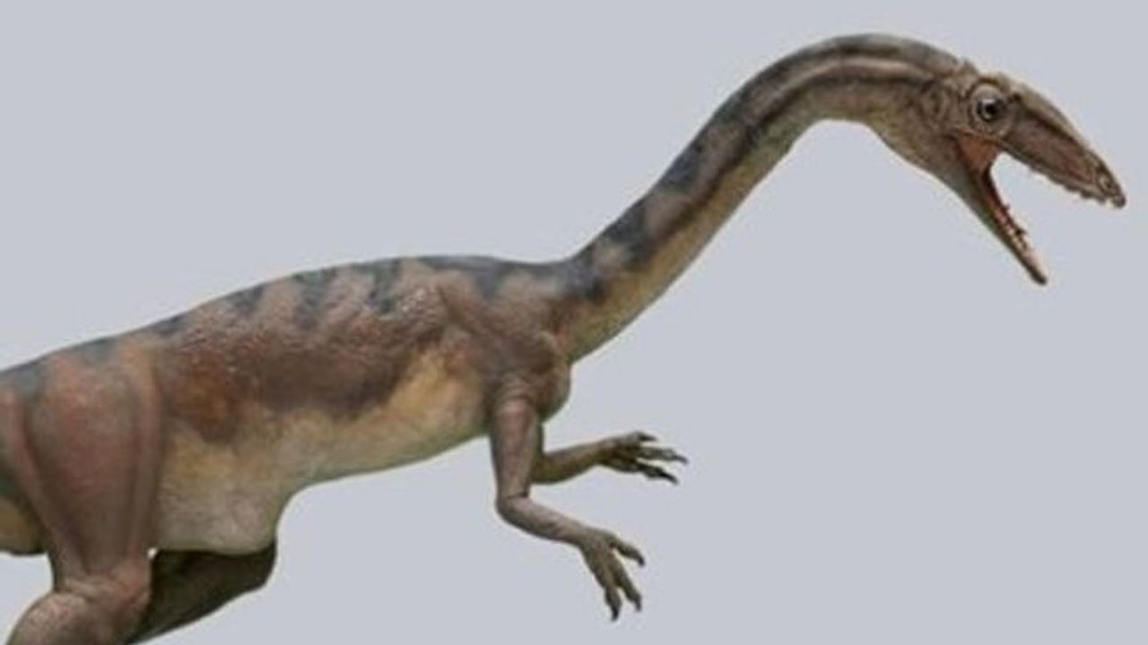 İsviçre'de yeni bir dinozor türü keşfedildi