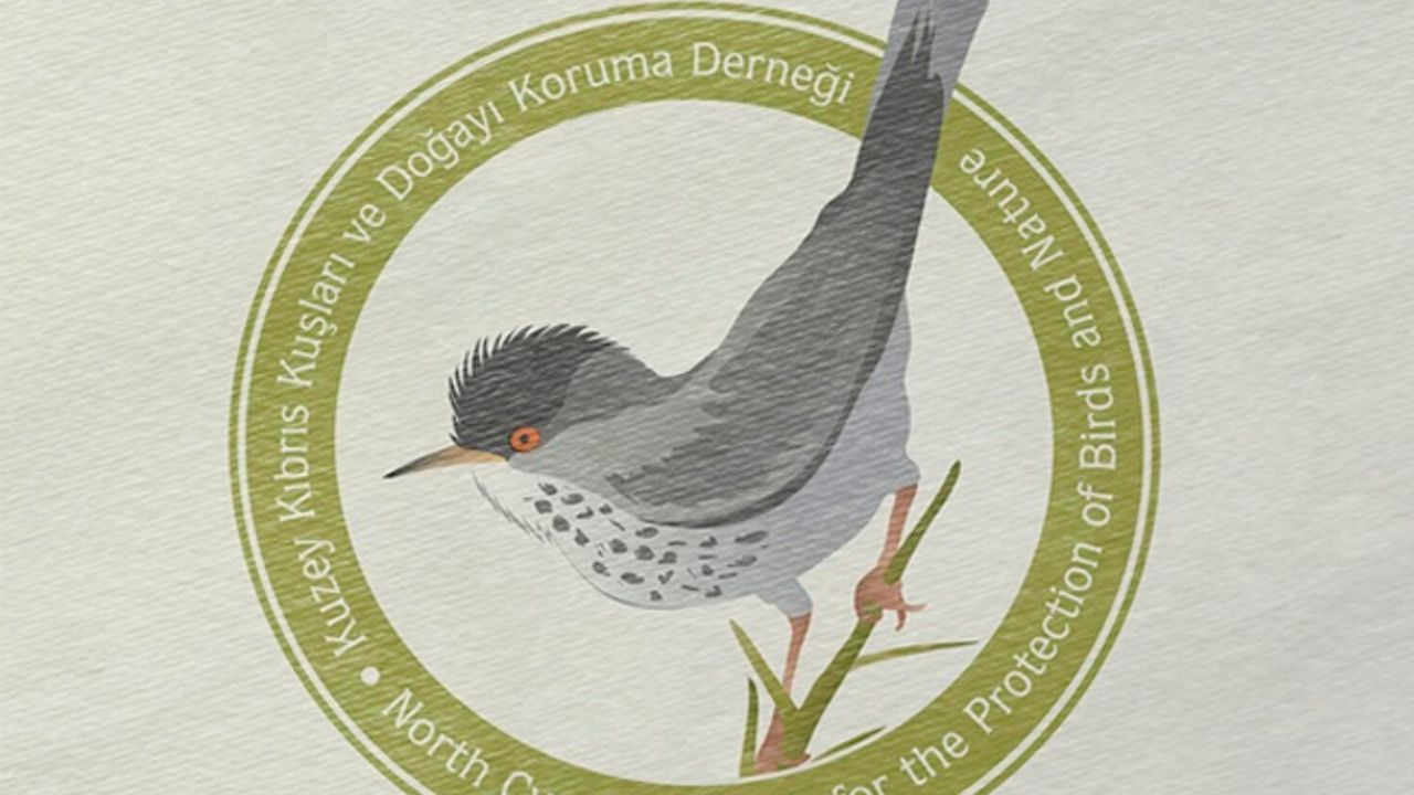 Kuşkor: ”Av ve avla ilgili yaban hayatı düzenleme yasa tasarısında doğa için yeterli özen gösterilmemiştir”