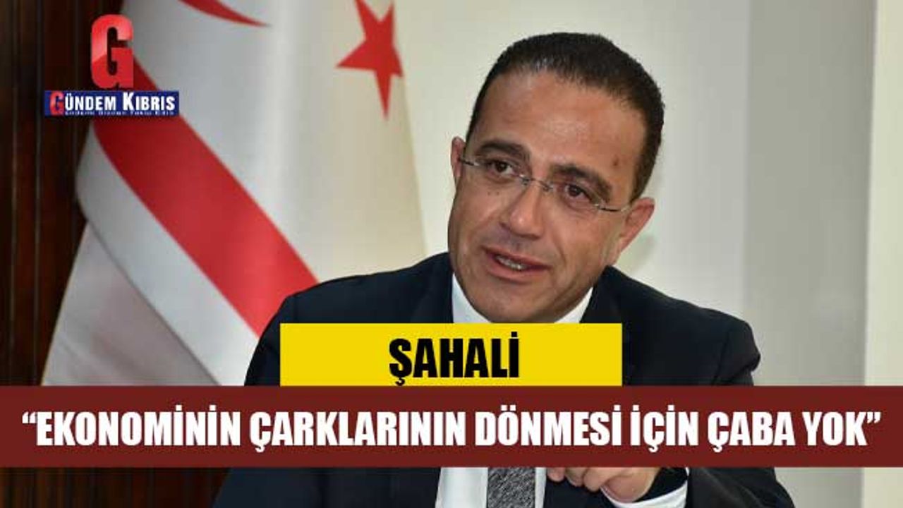 ŞAHALİ: “EKONOMİNİN ÇARKLARININ DÖNMESİ İÇİN ÇABA YOK”