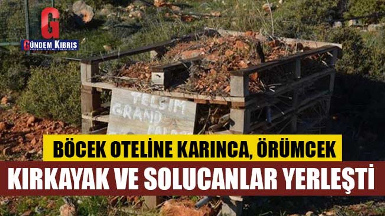 Kıbrıs'ta bir ilk; Böcek Oteli