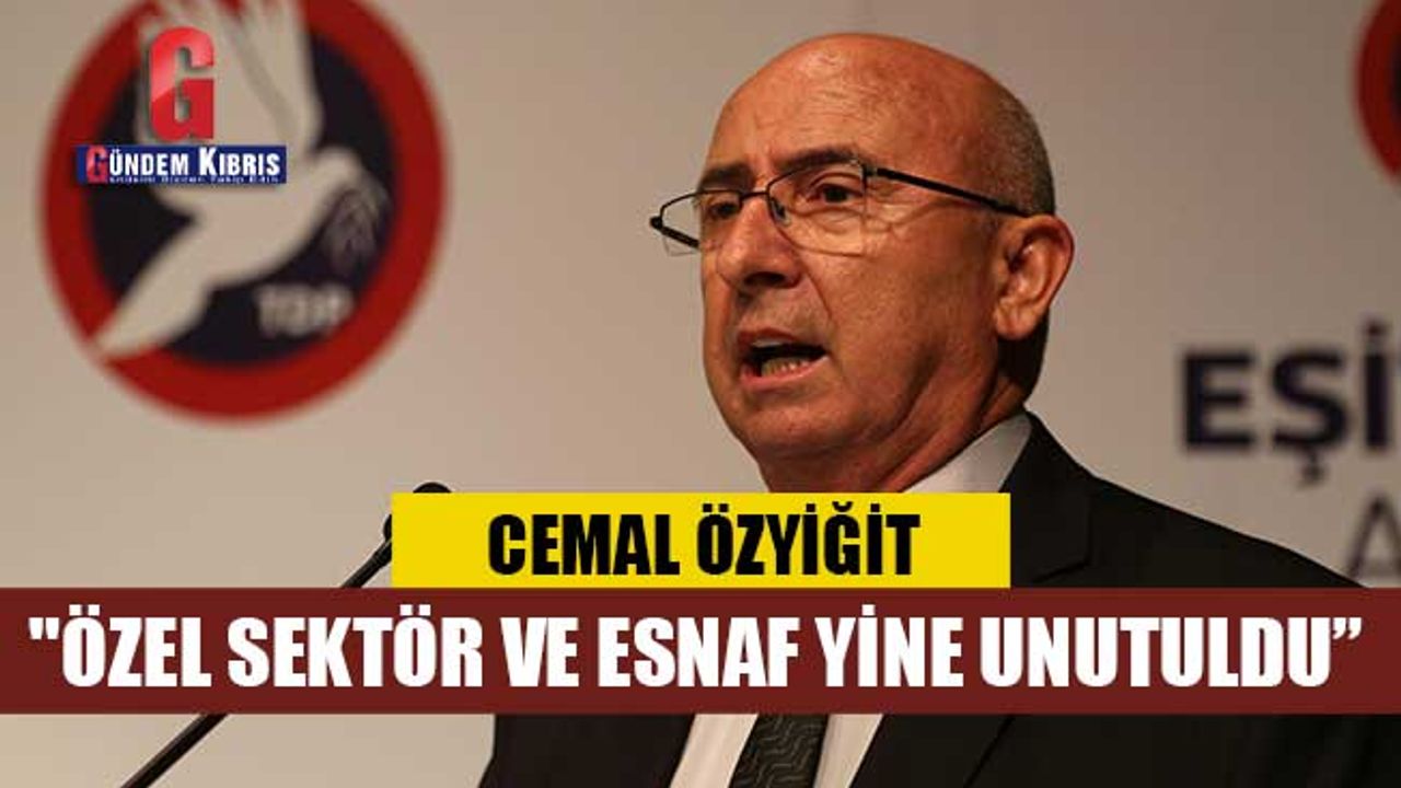"ÖZEL SEKTÖR VE ESNAF YİNE UNUTULDU”