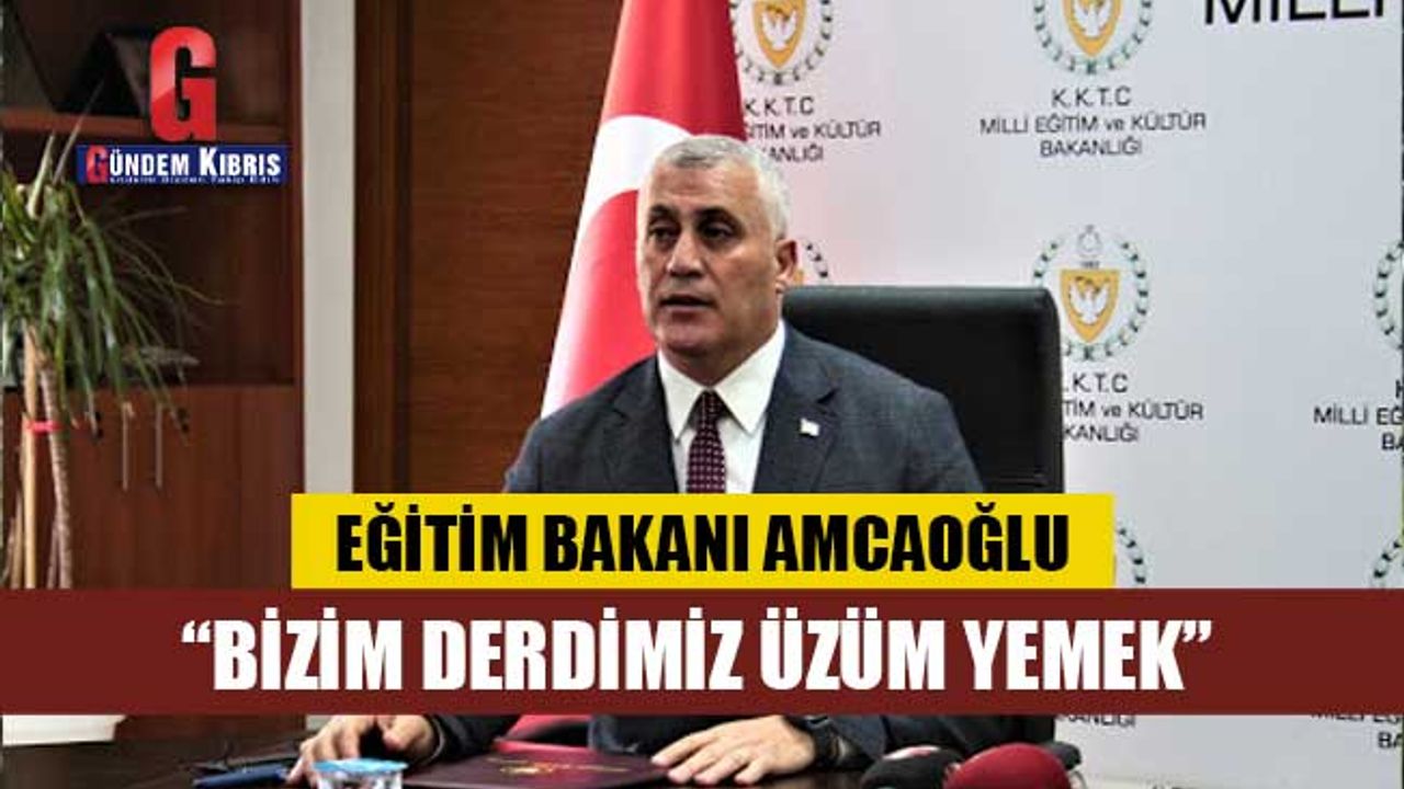 “Bizim derdimiz üzüm yemek, bazı arkadaşlarımızın tek derdi bağcıyı dövmektir”