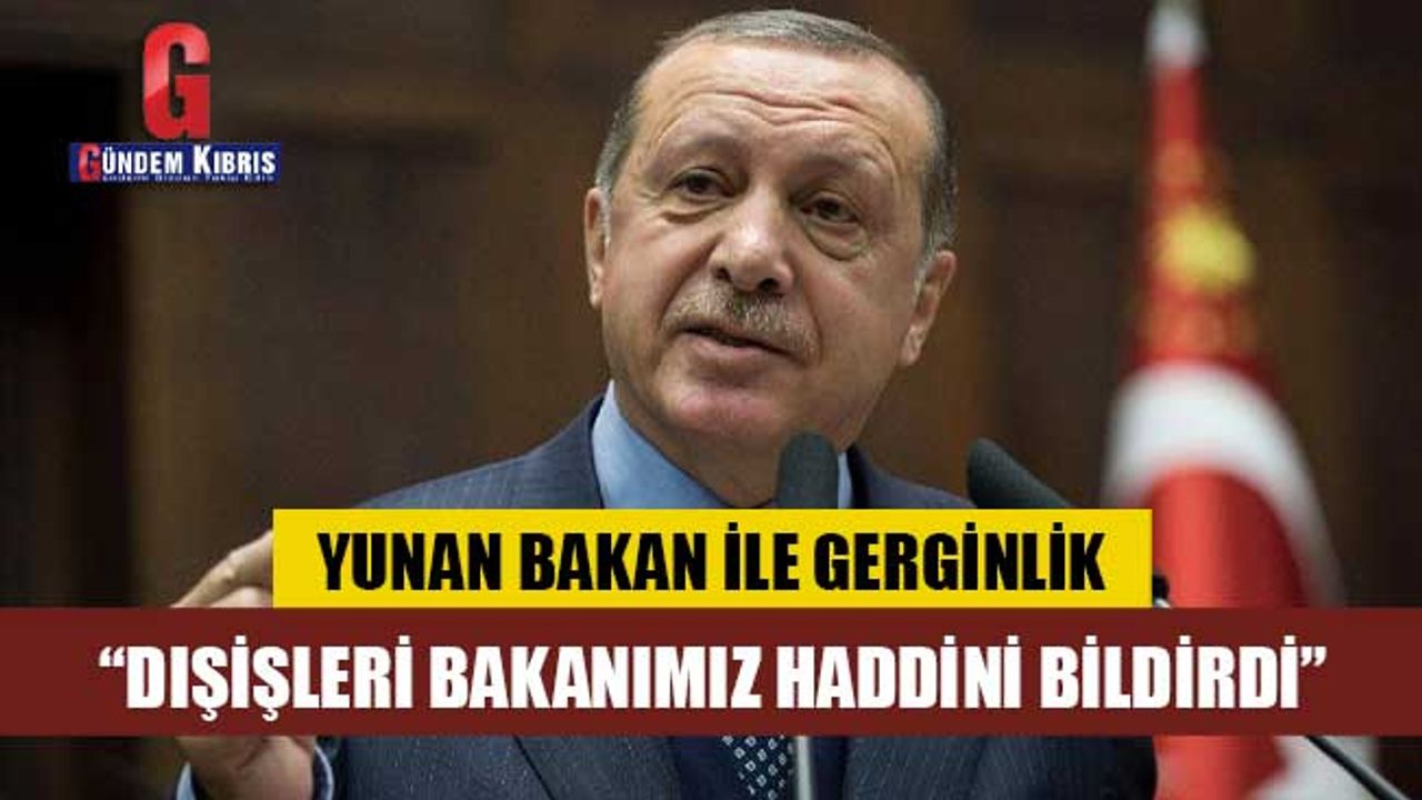 Erdoğan: Çavuşoğlu, Yunan bakana haddini bildirdi
