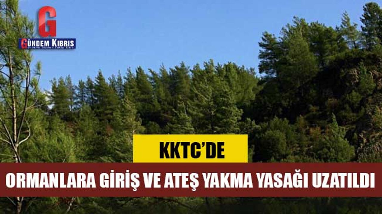 Ormanlara giriş ve ateş yakma yasağı uzatıldı