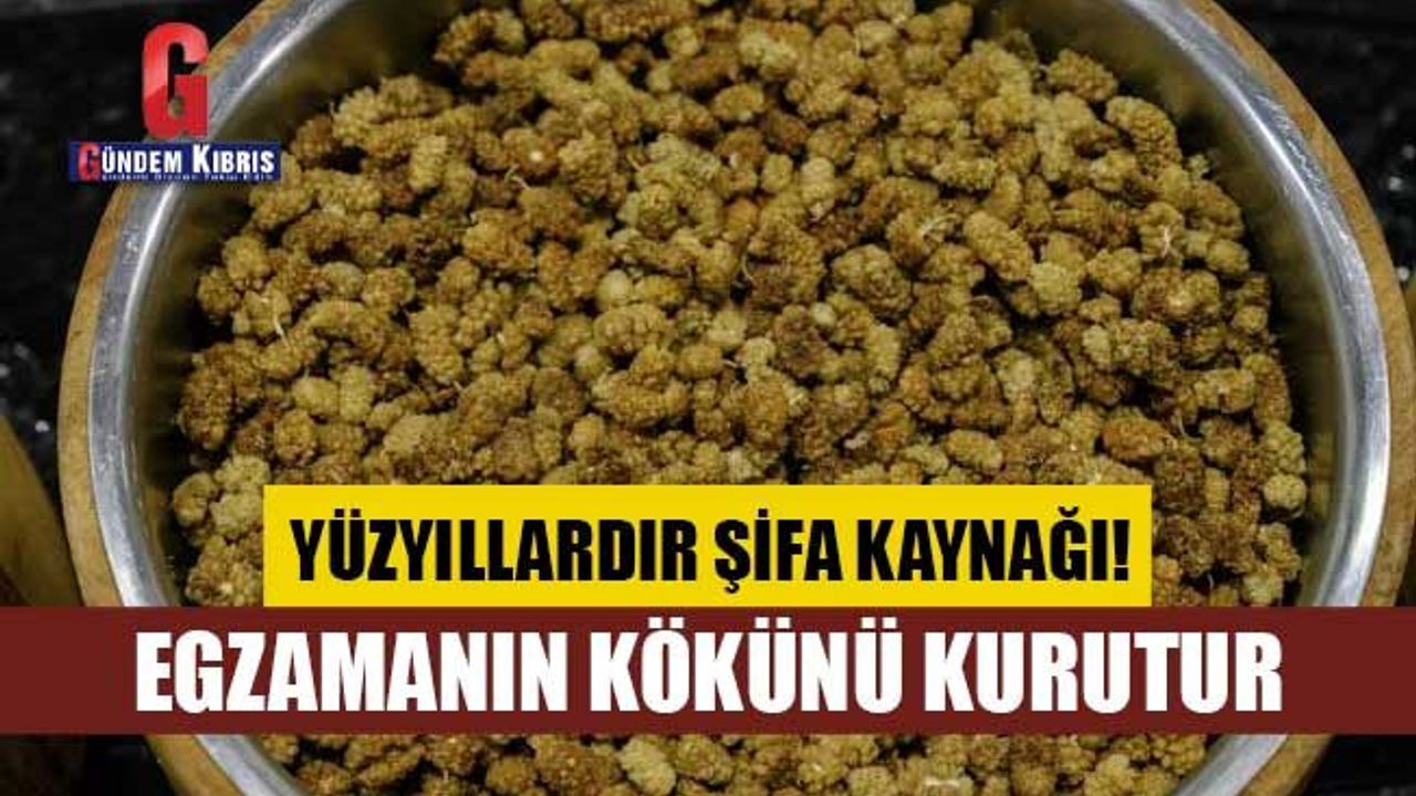 Egzamanın kökünü kurutur, iltihabın ve kanserin düşmanı, antioksidan kaynağı