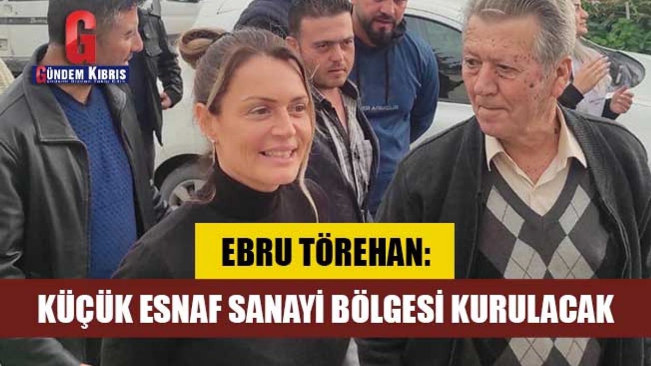 Ebru Törehan: Küçük esnaf sanayi bölgesi kurulacak