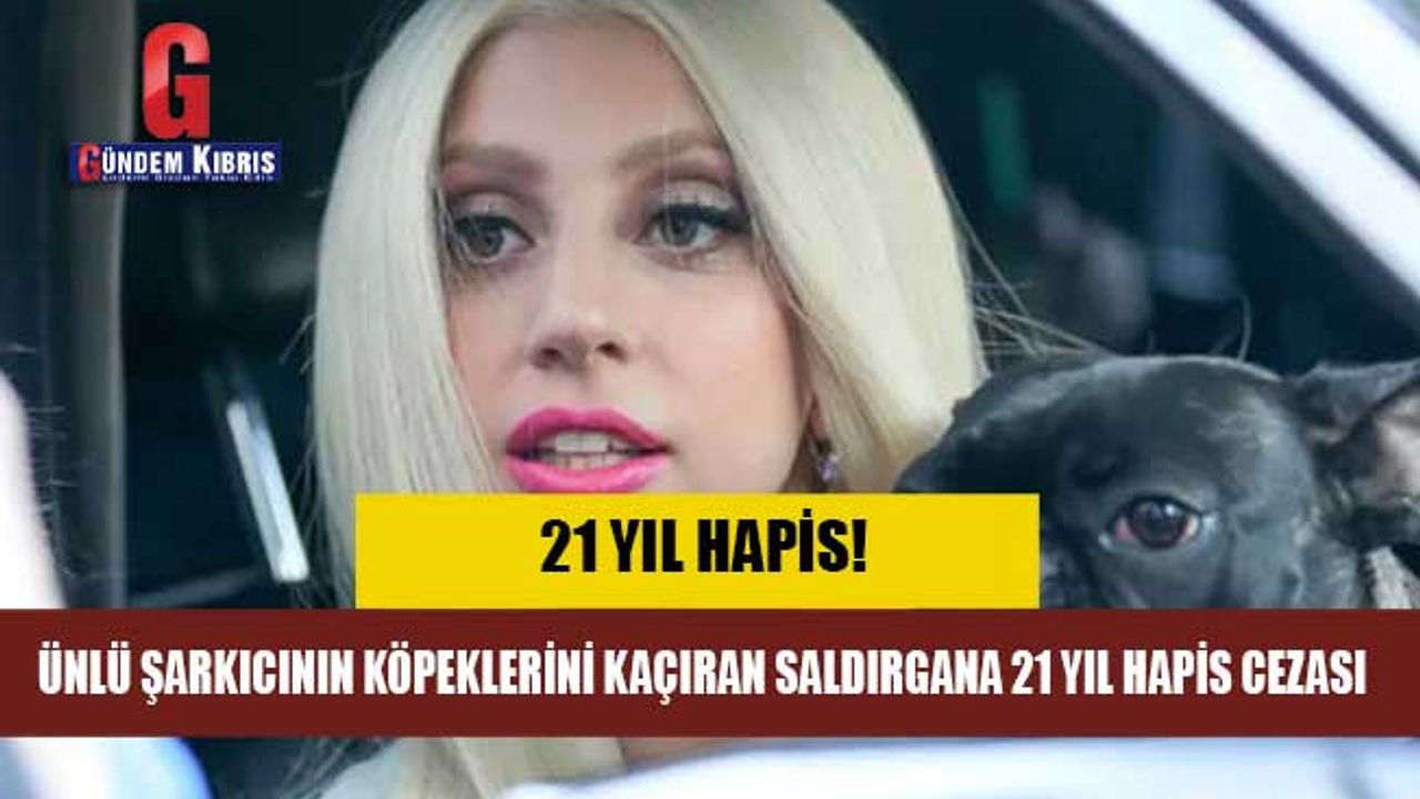 Lady Gaga'nın köpeklerini kaçıran saldırgana 21 yıl hapis cezası