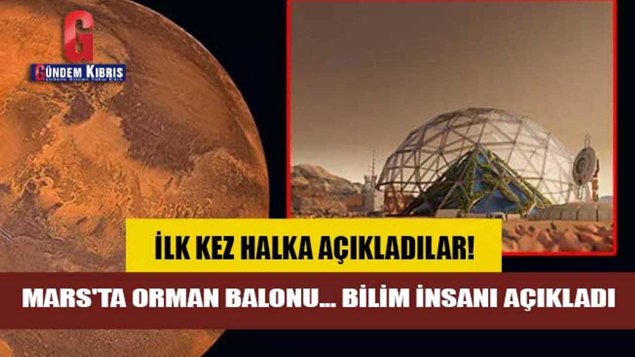 Mars'ta orman balonu... Bilim insanı Kızıl Gezegen için kolonileşme planını açıkladı