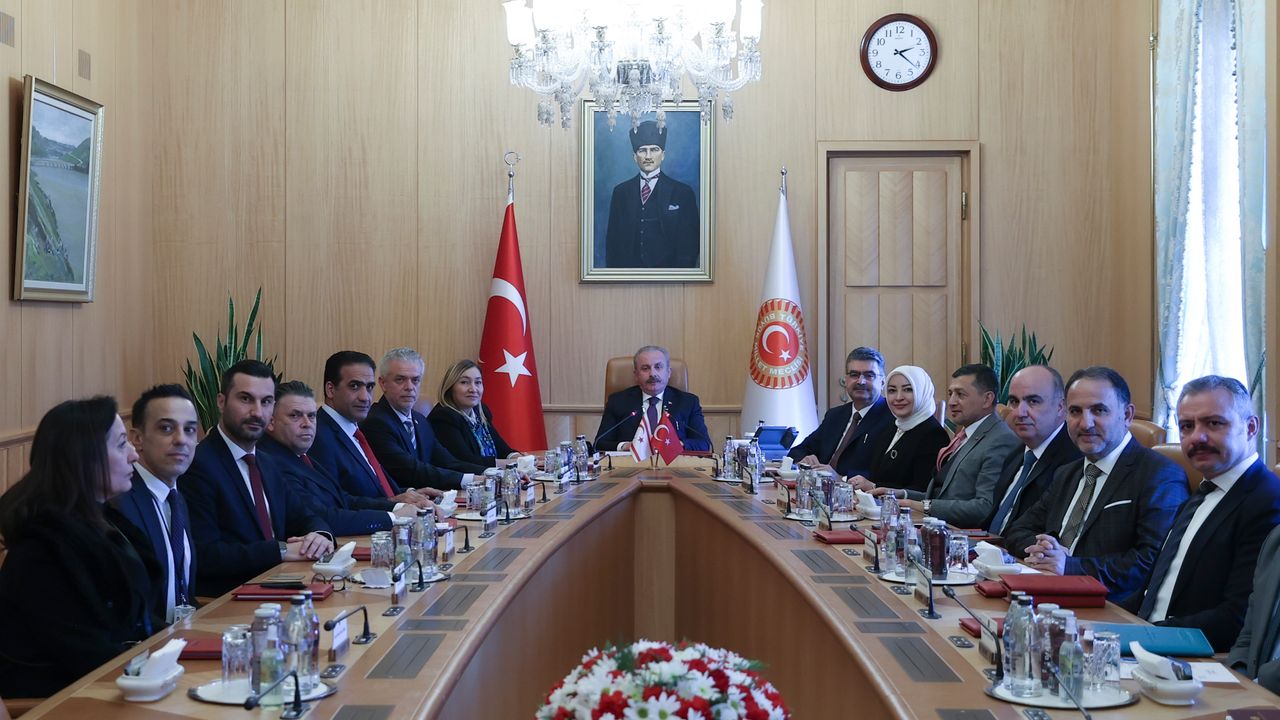 Hukuk, Siyasi İşler ve Dışilişkiler Komitesi, TBMM Başkanı Mustafa Şentop ile görüştü