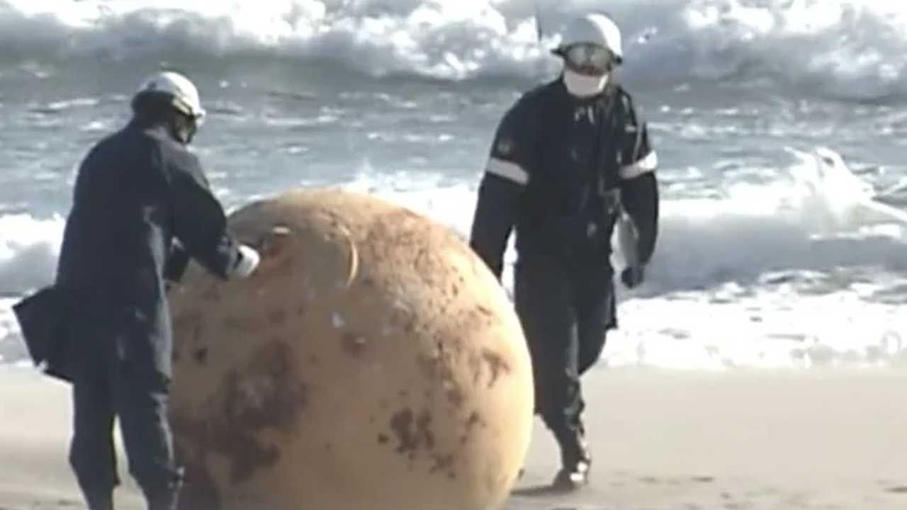 Japonya'da sahile vuran gizemli kürenin sırrı çözüldü