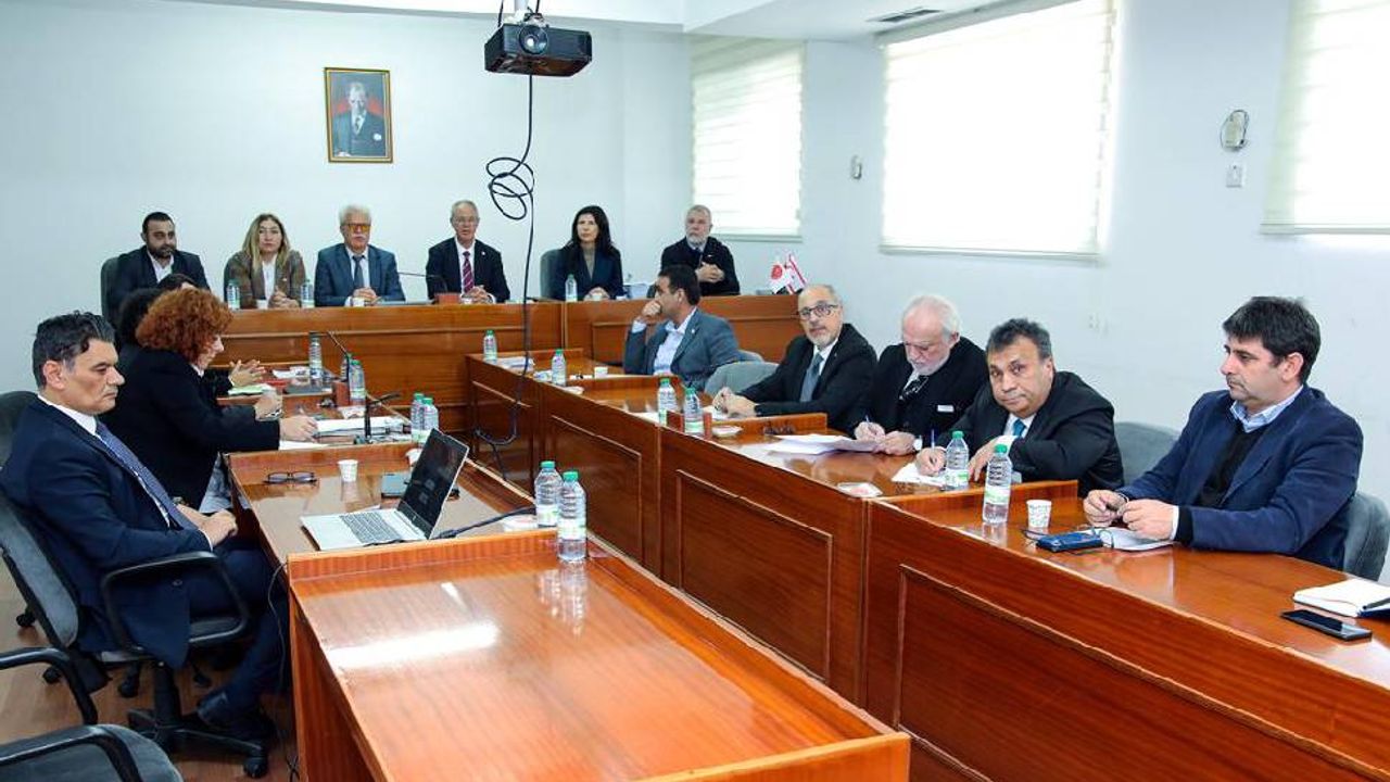 Türkiye’deki depremle ilgili oluşturulan Ad-Hoc Komite bugün toplandı