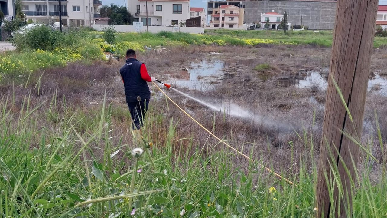 İskele Belediyesi sinek ve haşerelere karşı ilaçlama başlattı