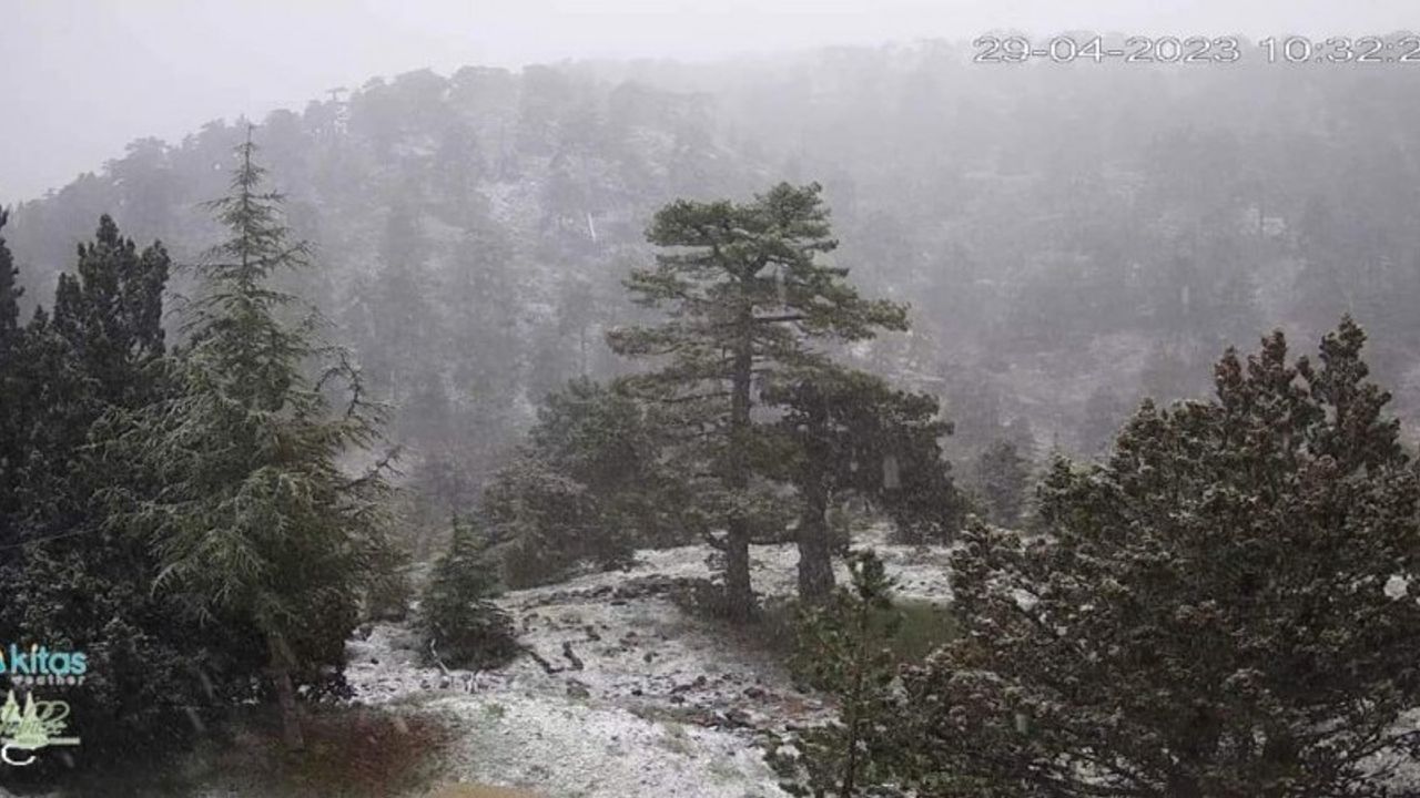 Trodos dağlarına kar yağdı