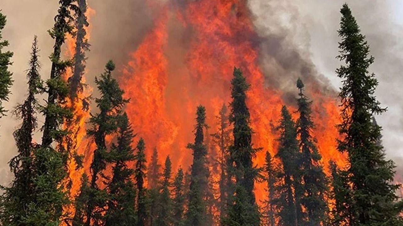 Kanada'da 78 noktada orman yangını:13 bin kişi tahliye edildi