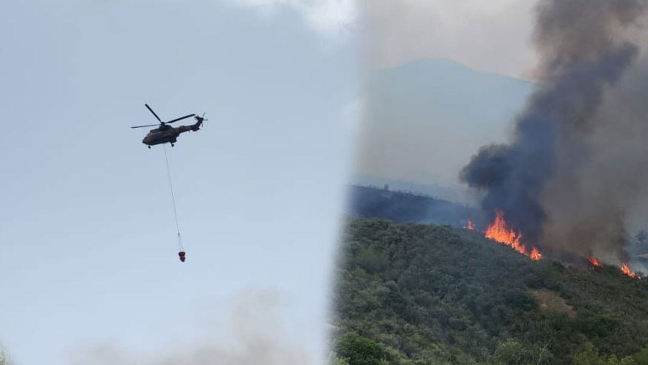 Yeşilırmak'ta yangın... Türkiye'den ve Güney Kıbrıs'tan helikopter istendi