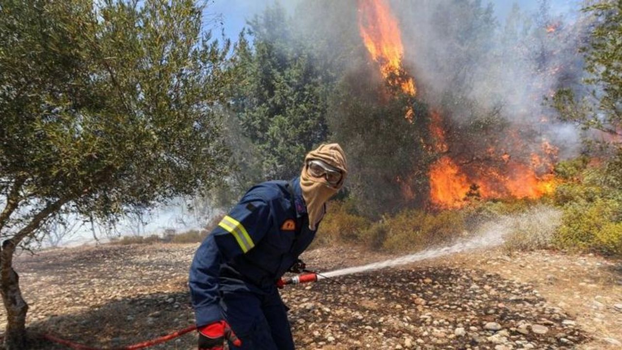 Orman yangınları: Akdeniz ülkelerinde alevler 40'tan fazla kişiyi öldürdü