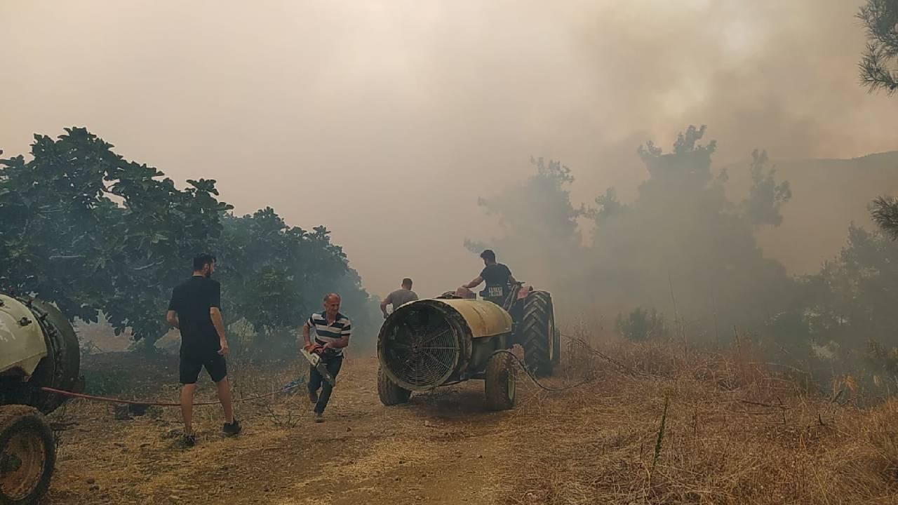 Bursa'da orman yangını