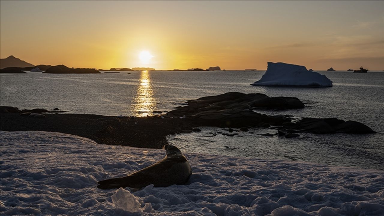 Antarktika'da araştırmacıların şort giymesine sebep olan sıcaklıklara ilişkin araştırma yayımlandı