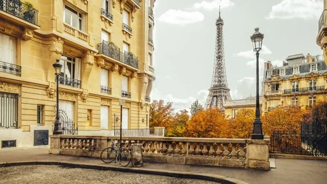 Paris’te tahtakuruları alarmı