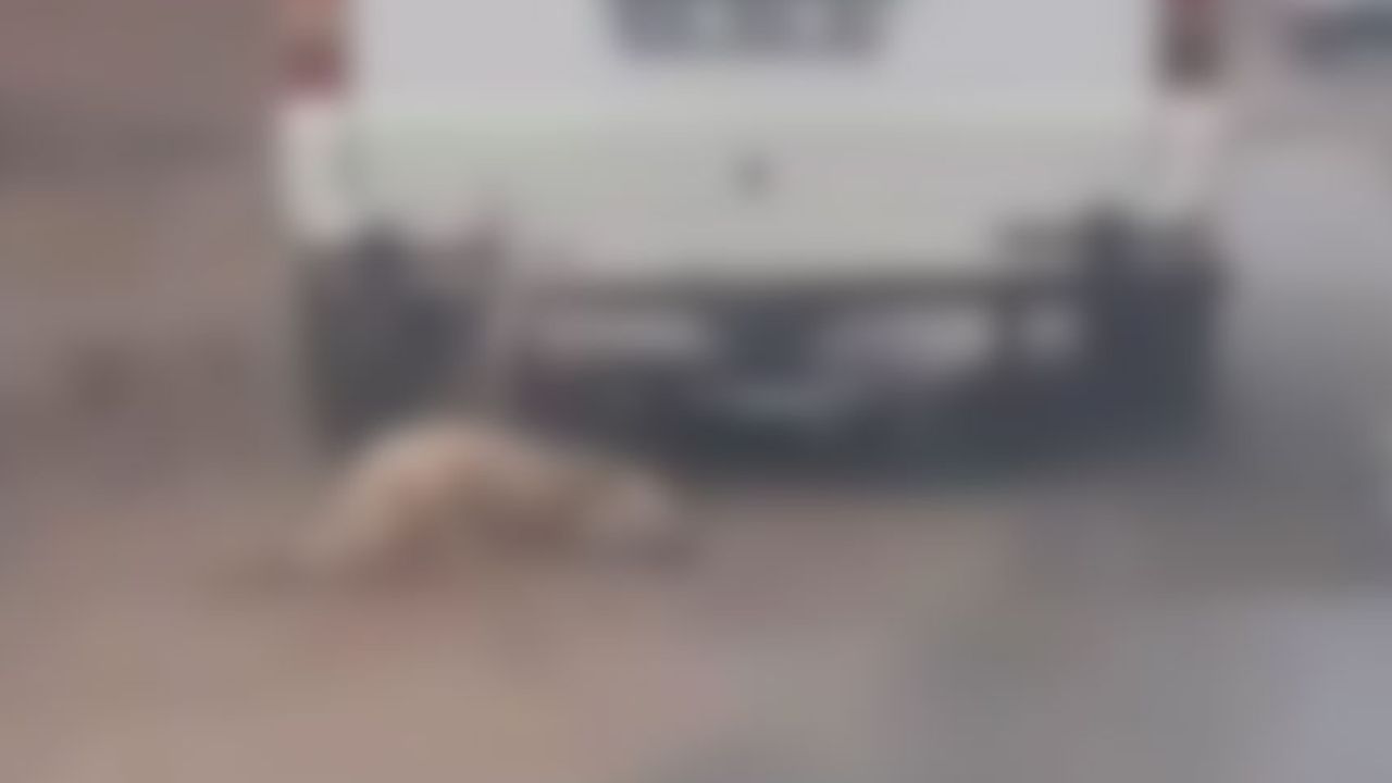 Aracına bağladığı köpeği metrelerce sürükledi
