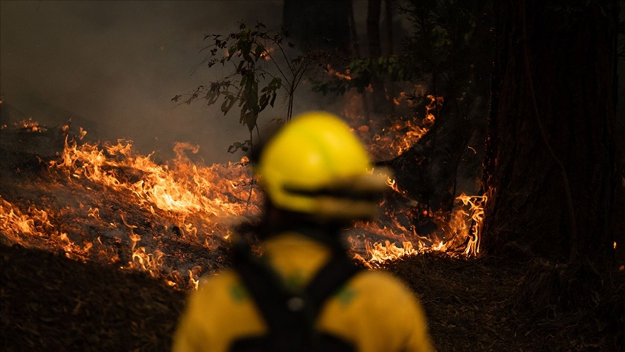 İspanya'nın Kanarya Adaları'ndaki orman yangını nedeniyle 3 binden fazla kişi tahliye edildi