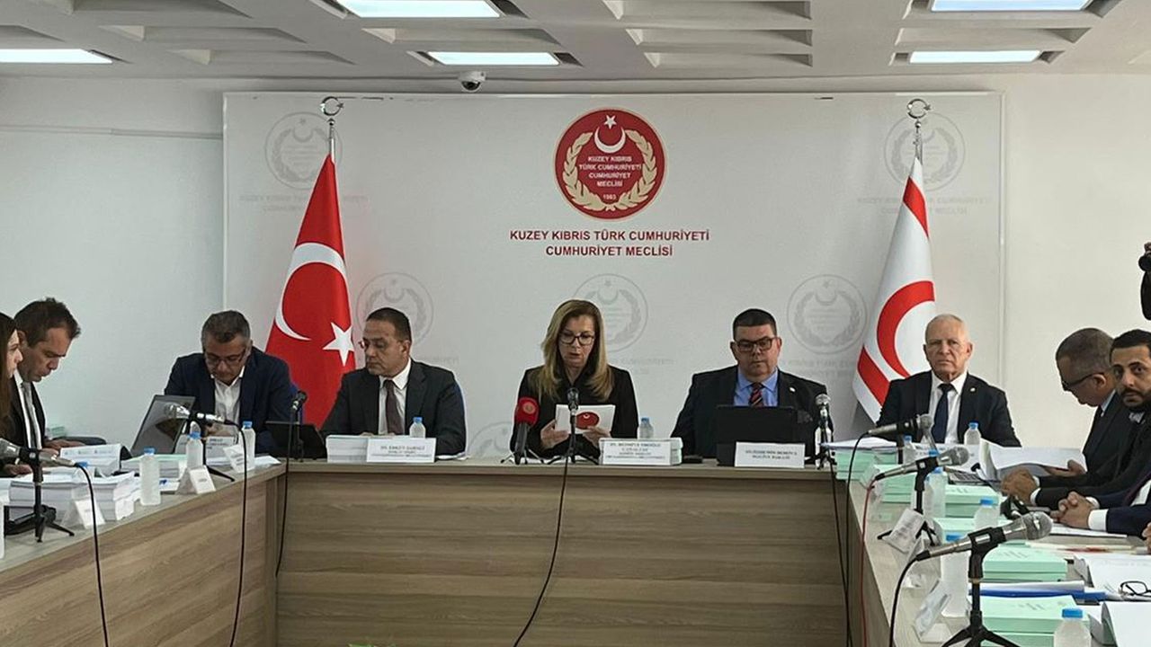 Maliye Bakanı Berova: Kayıt dışı ekonomi ile en etkin şekilde mücadele edilecek