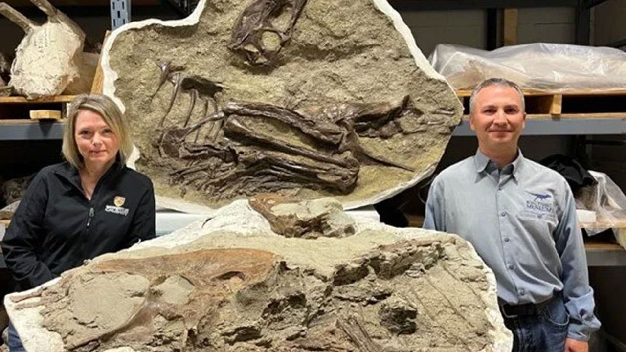 Dinozorun son akşam yemeği: 75 milyon yaşında