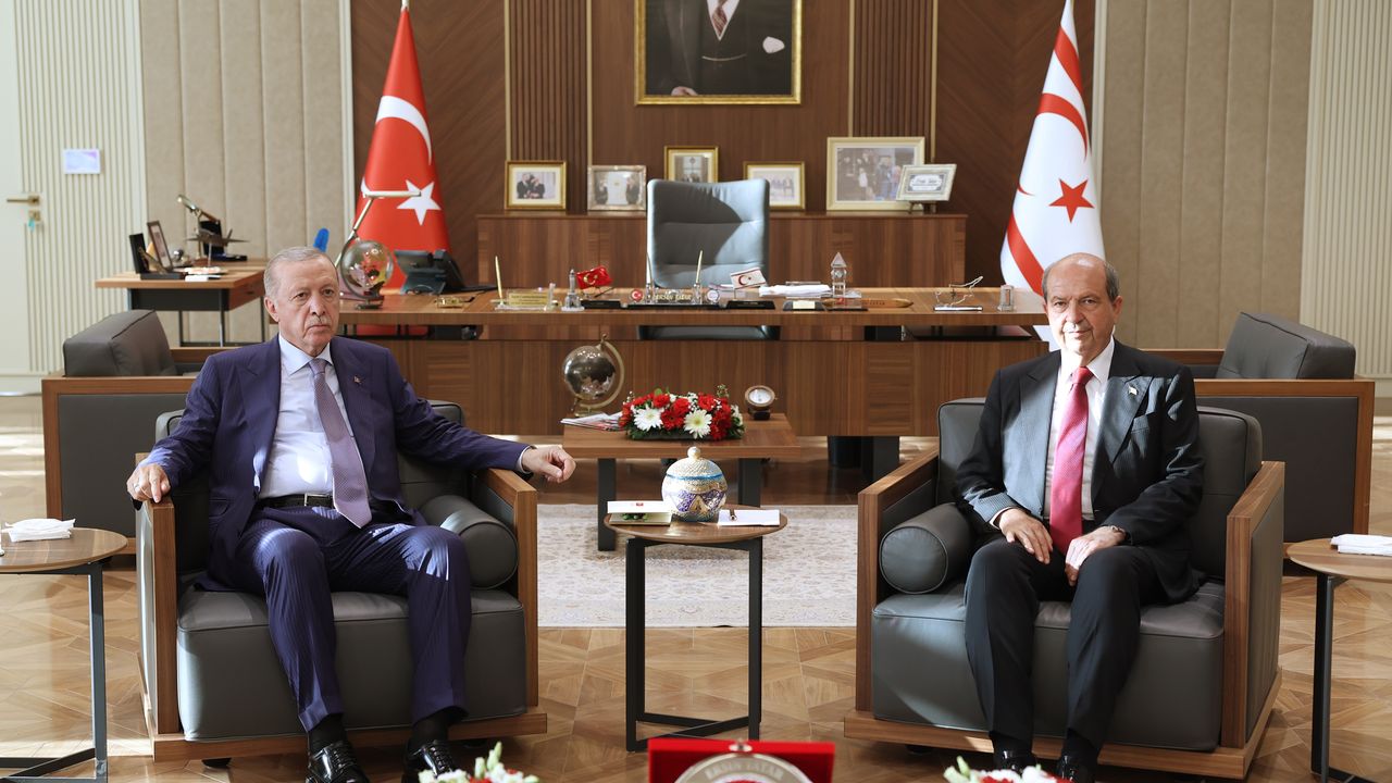 Erdoğan, Tatar ile görüştü