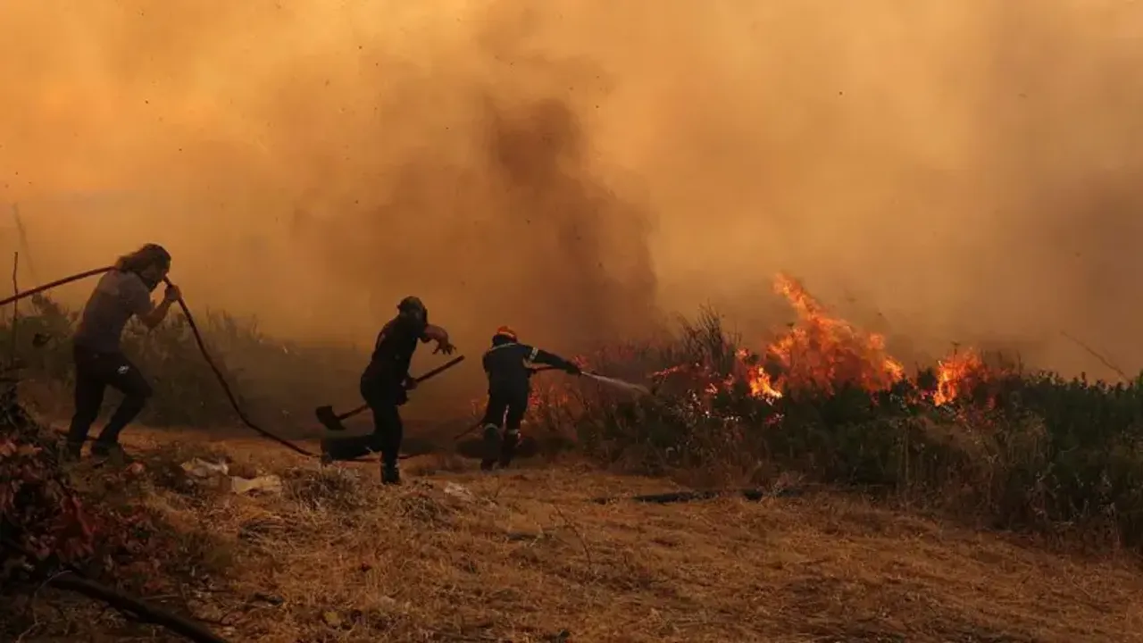 Yunanistan ve Bulgaristan'da orman yangınları: Alevler Türkiye sınırına ulaştı