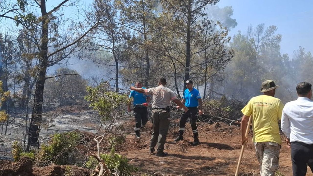 Esentepe-Karaağaç bölgesindeki yangın kontrol altına alındı