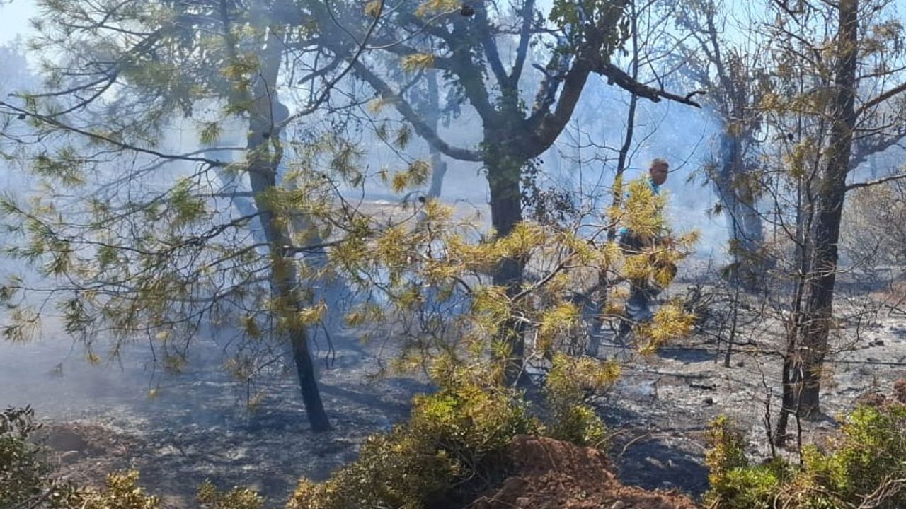 Cahitoğlu: Yapılan hızlı müdahale ile yangın kontrol altına alındı