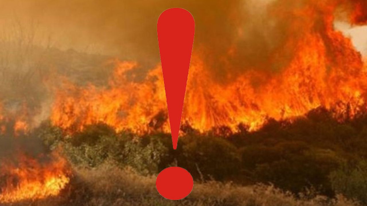 KKTC’de Orman Yangını Riski Kritik Seviyede: Yetkililer Vatandaşları Uyarıyor