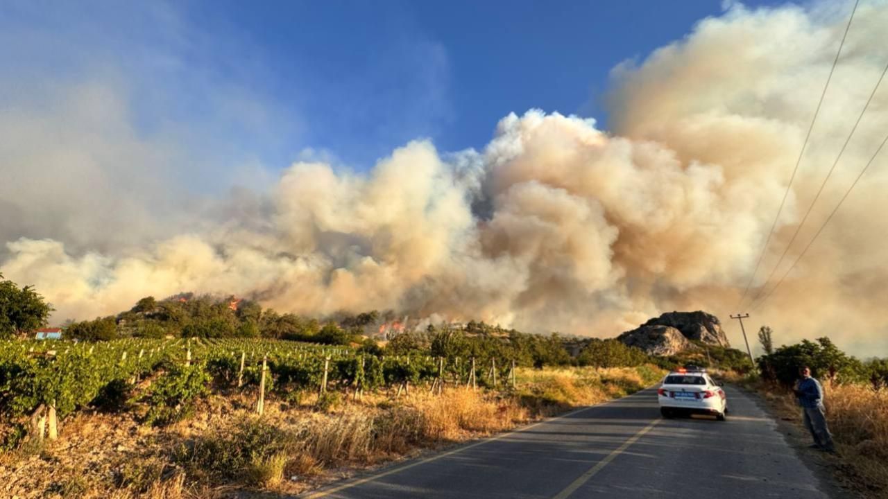 3 ilde orman yangını