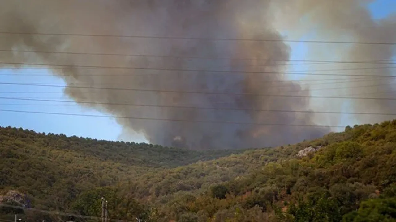 Bursa ve Çanakkale'de alevlerle mücadele...