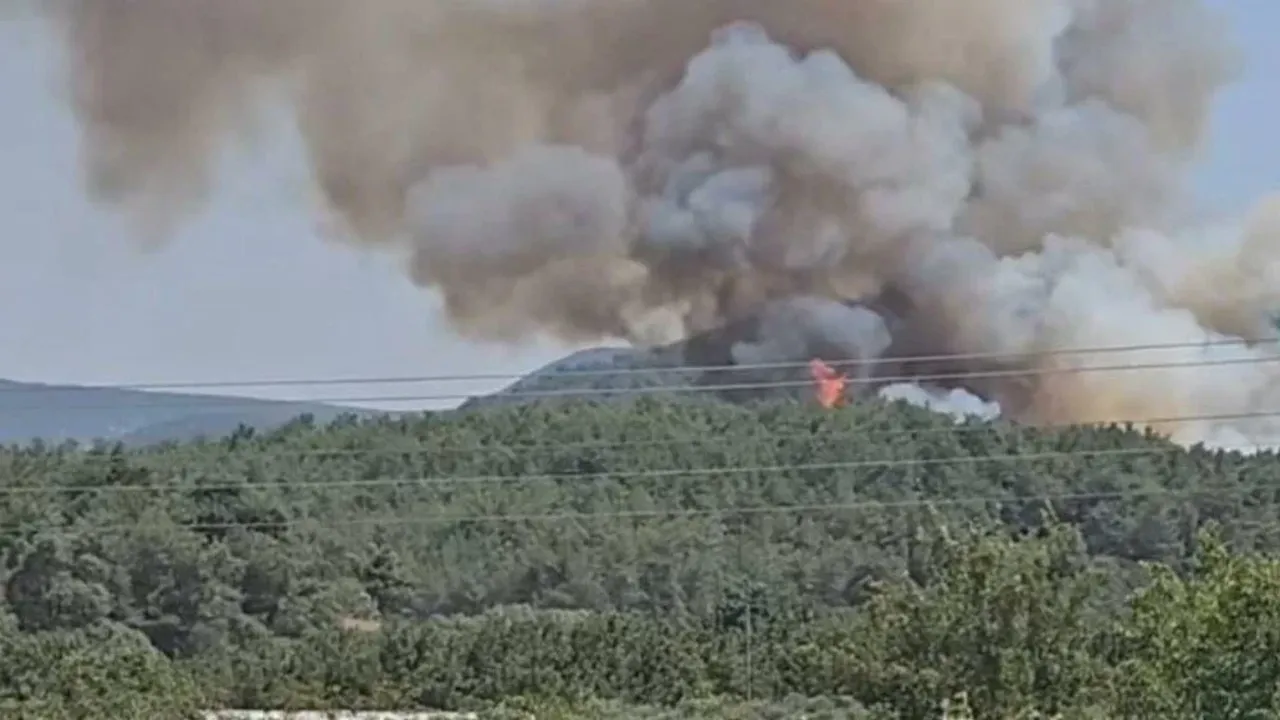 Çanakkale ve İzmir'de orman yangını