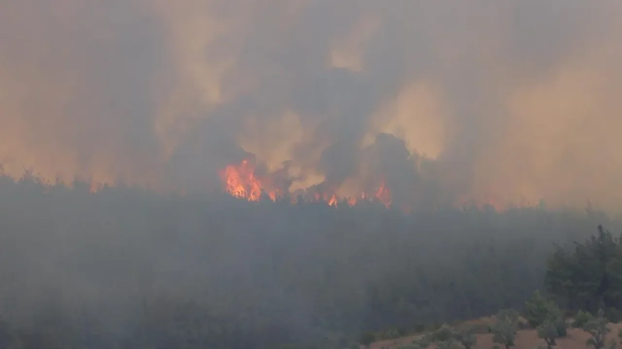 Bursa'da orman yangını: Dumanlar gökyüzünü kapladı