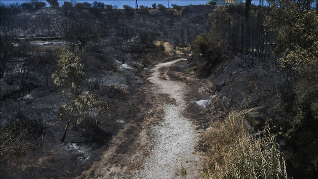 Yunanistan'da bu yıl çıkan orman yangınlarında 470 bin dönümden fazla alan yandı