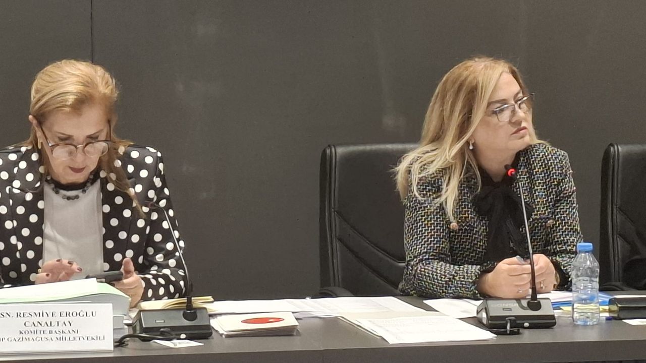 Ombudsman bütçesi oy birliğiyle kabul edildi