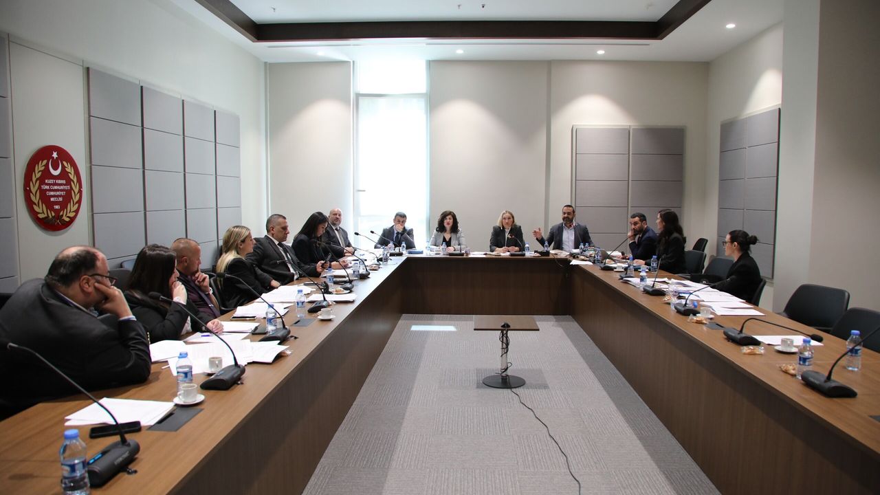 Ceza (Değişiklik) Yasa Tasarısı komitede görüşüldü