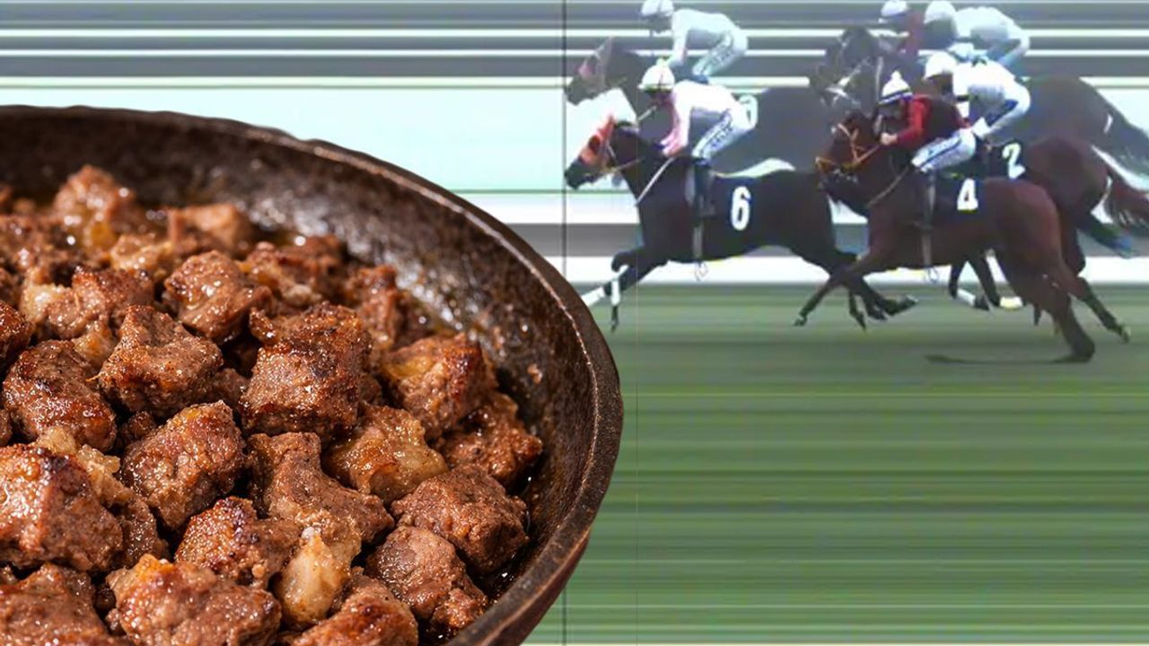 Yer Mersin: Şampiyon yarış atı, aşevi'nde kavurma oldu!