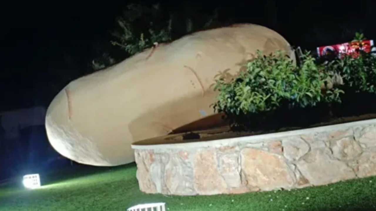 Patates heykeli kötü hava şartları yüzünden devrildi