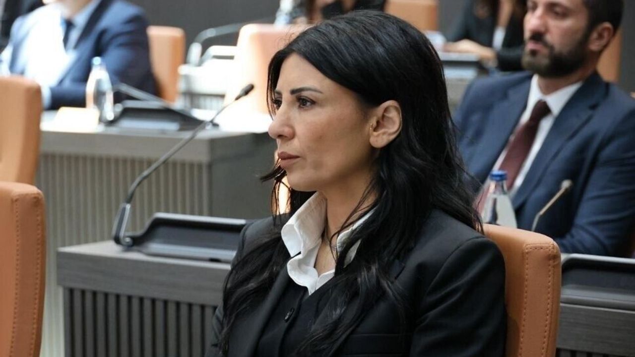 Özdenefe: Komiteler toplanma günlerinde toplanmıyor