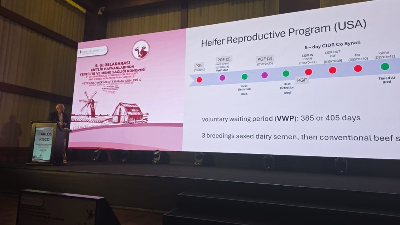 Çavuş: Bilimsel çalışmalar ve yenilikçi yaklaşımlar hayvancılık sektörünün geleceği için yol gösterici