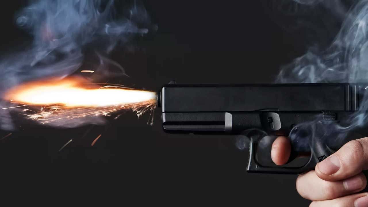 Köpeklere ateş açıldı