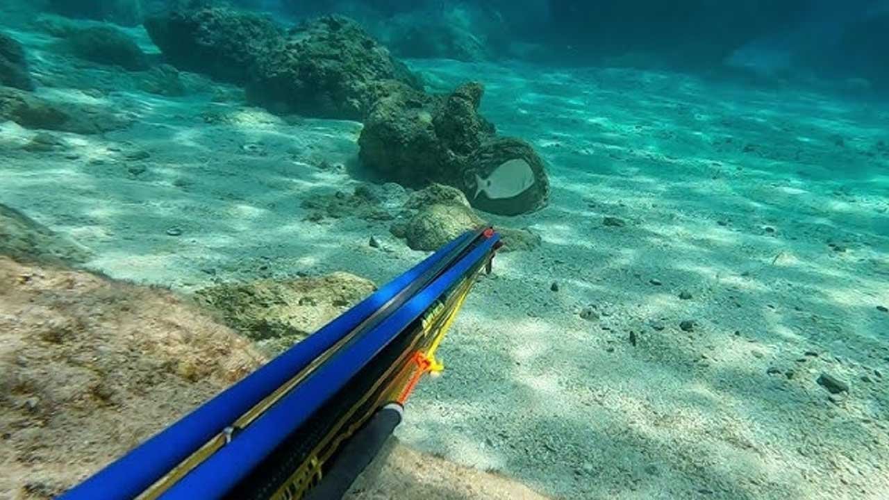 Gece Avına Suçüstü: Zıpkınla Kaçak Avlanan Şahıs Tutuklandı