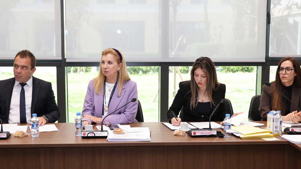 Meclis Komitesi Kamu Finansmanı Kararnamesini Genel Kurul’a Sevk Etti