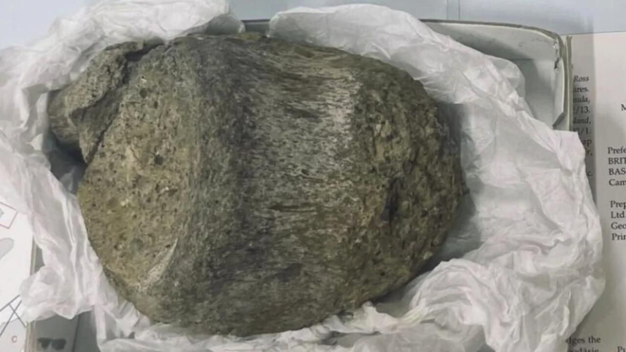 Çekmecede unutulan fosil Antarktika’nın ilk dinazoru çıktı