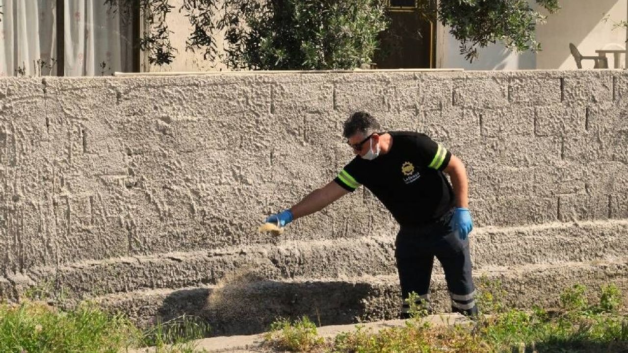 LTB, 7 ekiple sivrisinekle etkin ve biyolojik mücadeleyi sürdürüyor